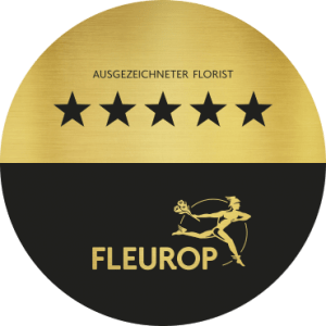 fleu_stars_png