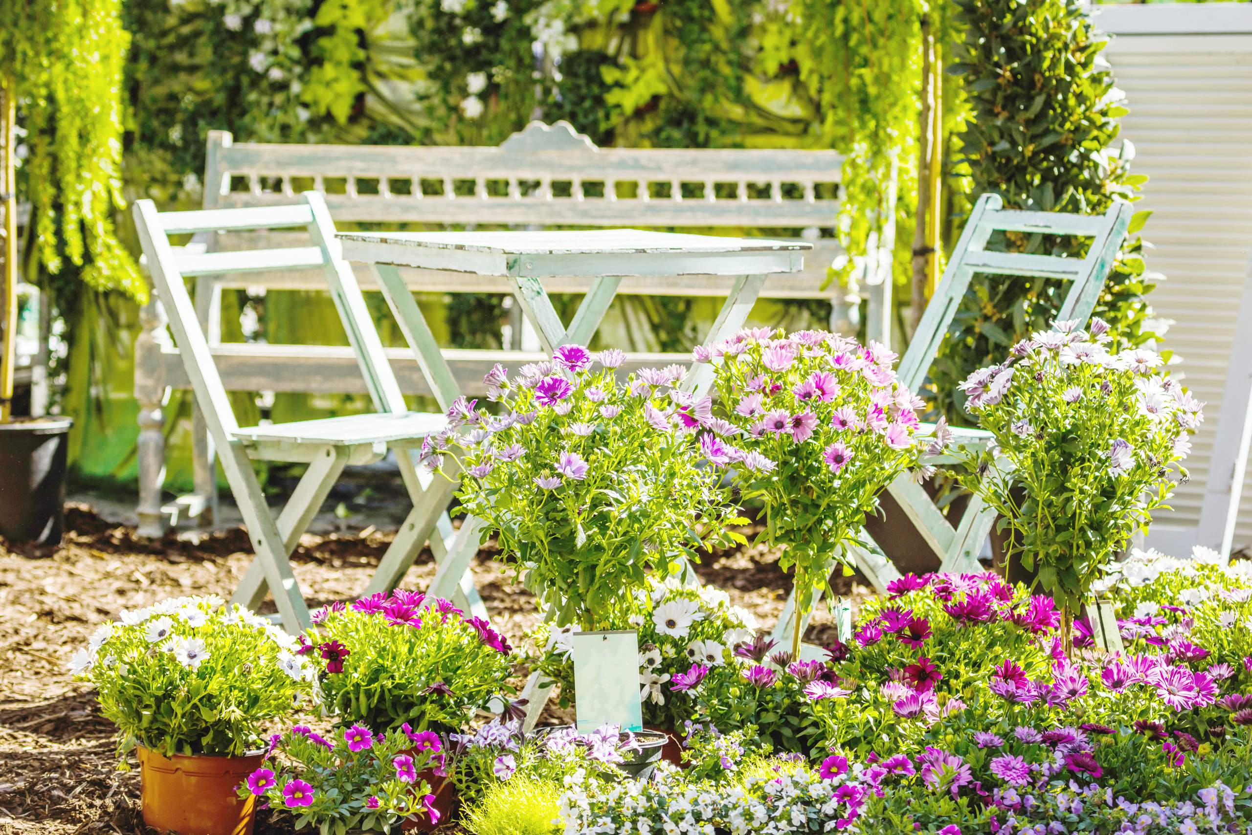 Blumenhaus Ertl Das Blumenhaus in Unterhaching